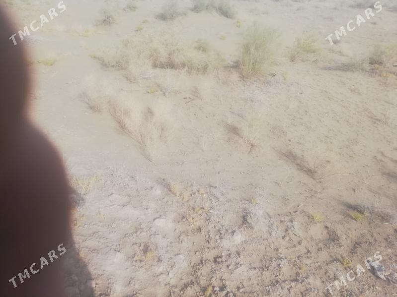 Farapda satlyk bos mellek 10 S - Farap - img 3