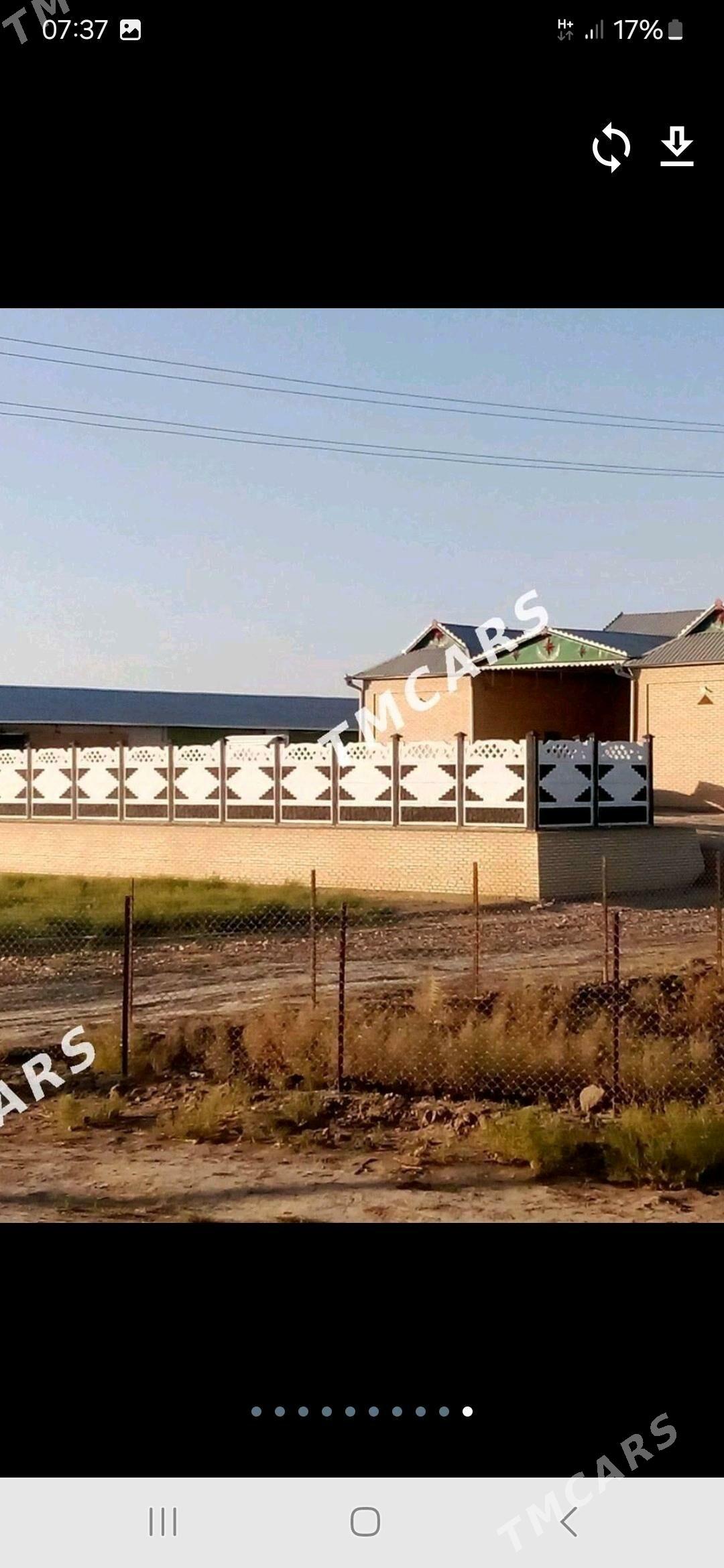 beton zabor - Mary - img 3