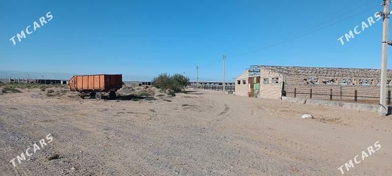 MAL FERMA EKIN YER - Ак-Бугдайский этрап - img 4