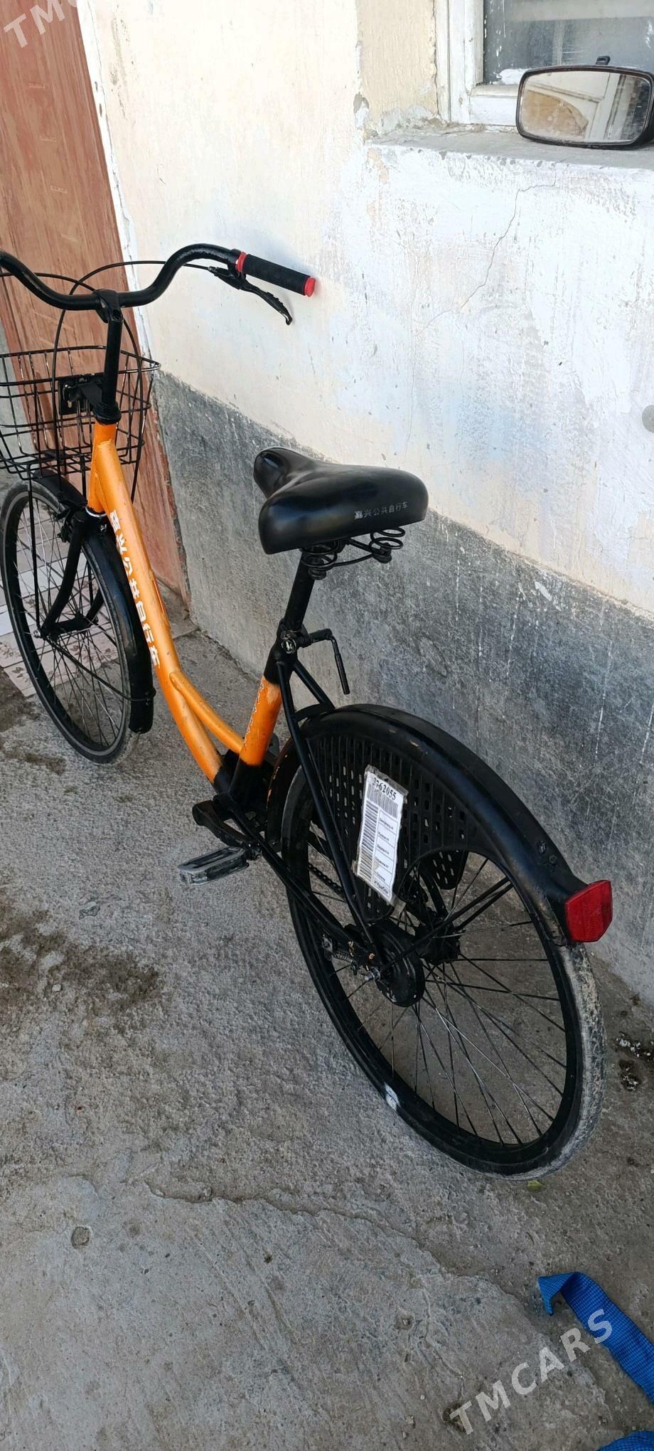 Tigir - Чоганлы - img 2