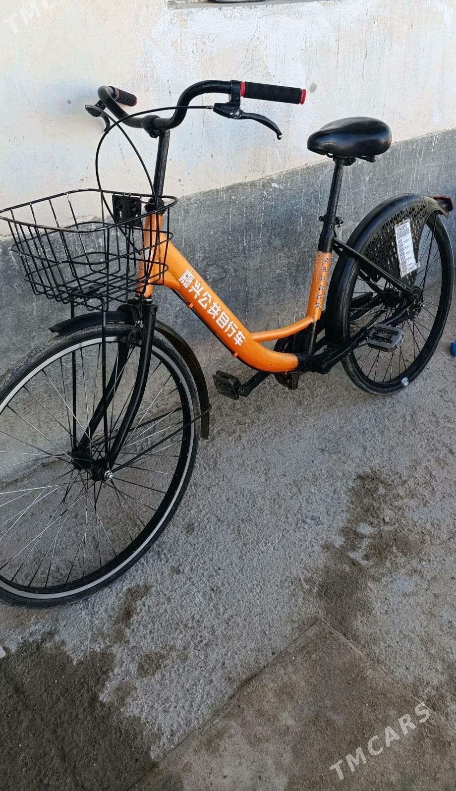 Tigir - Чоганлы - img 4