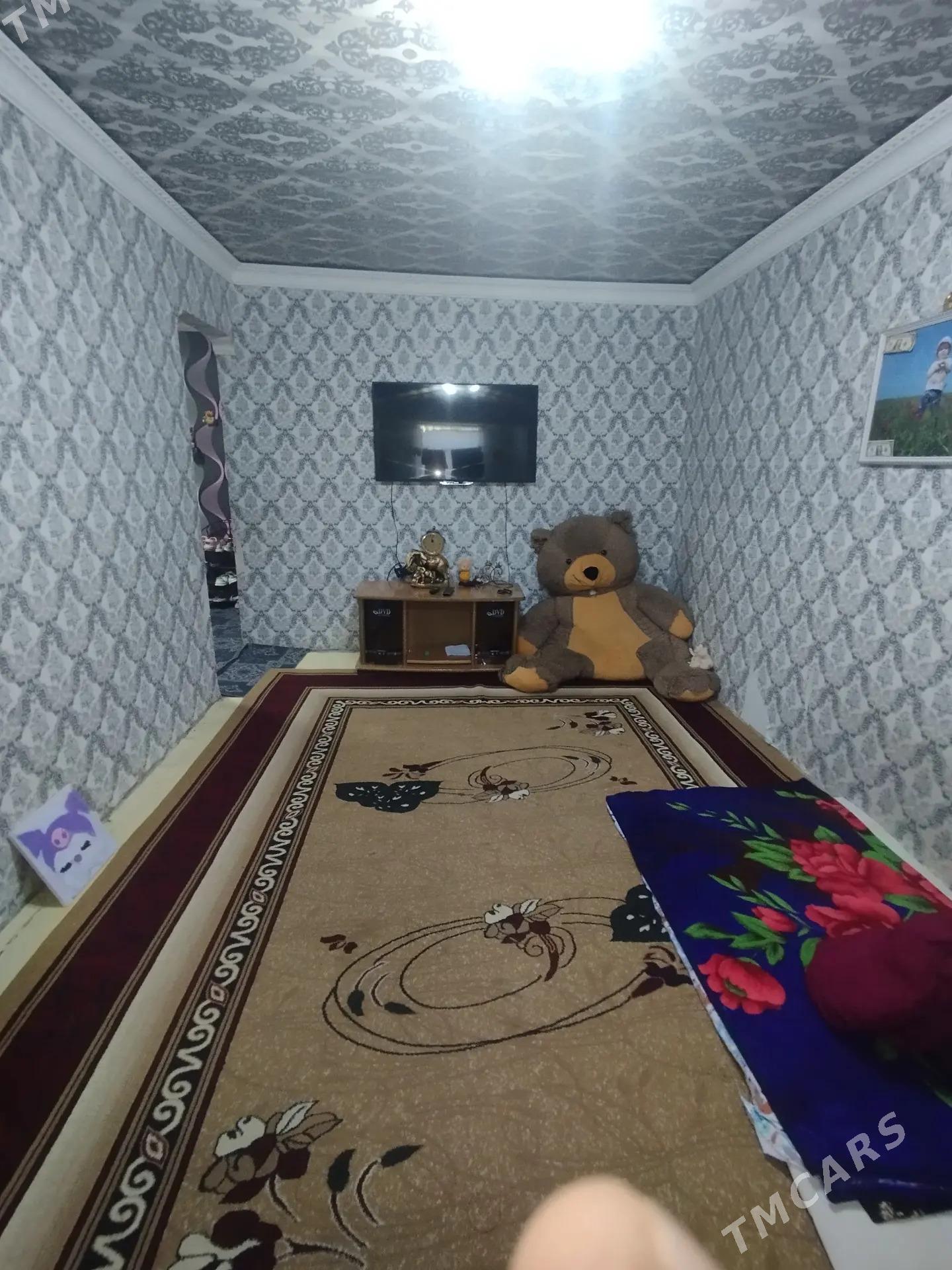 Satlyk jay - Mary - img 8