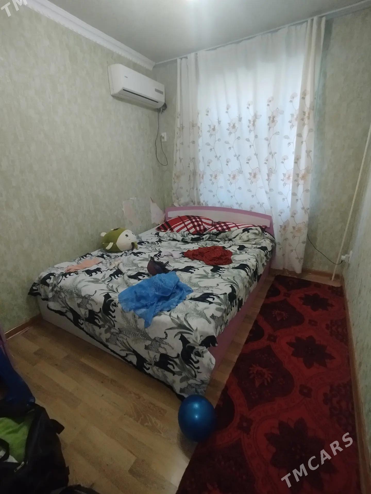 Satlyk jay - Mary - img 4