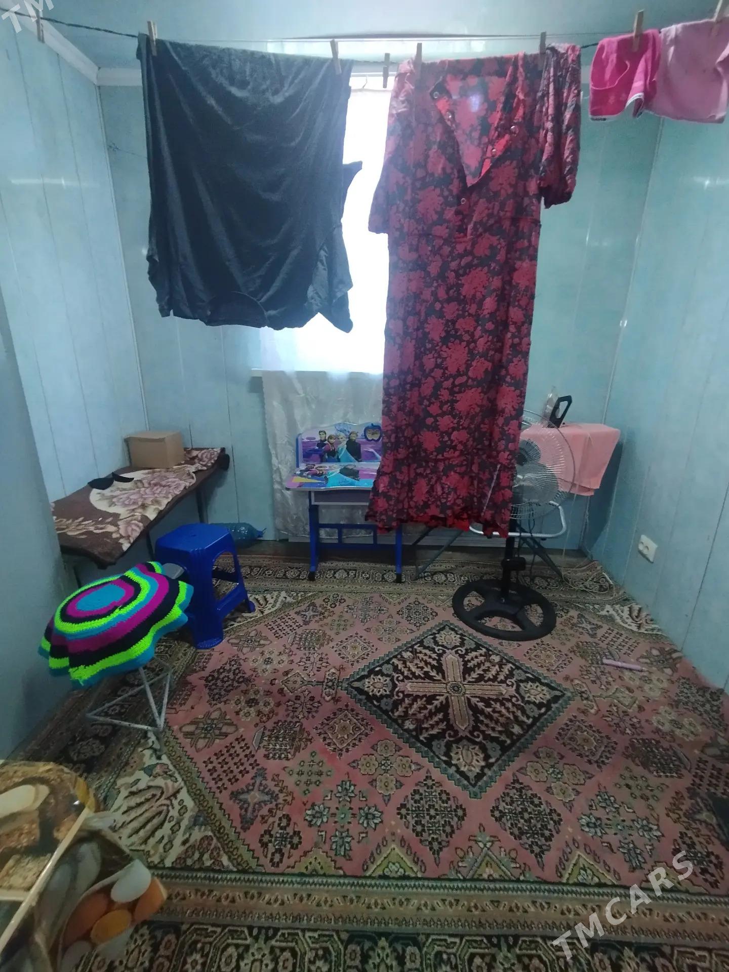 Satlyk jay - Mary - img 6