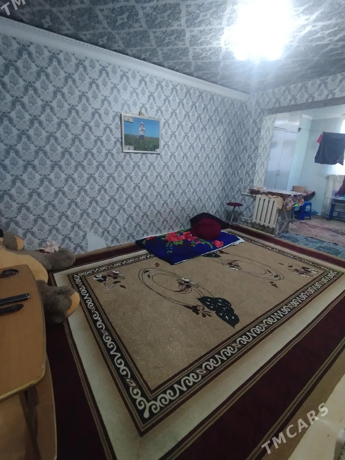 Satlyk jay - Mary - img 5