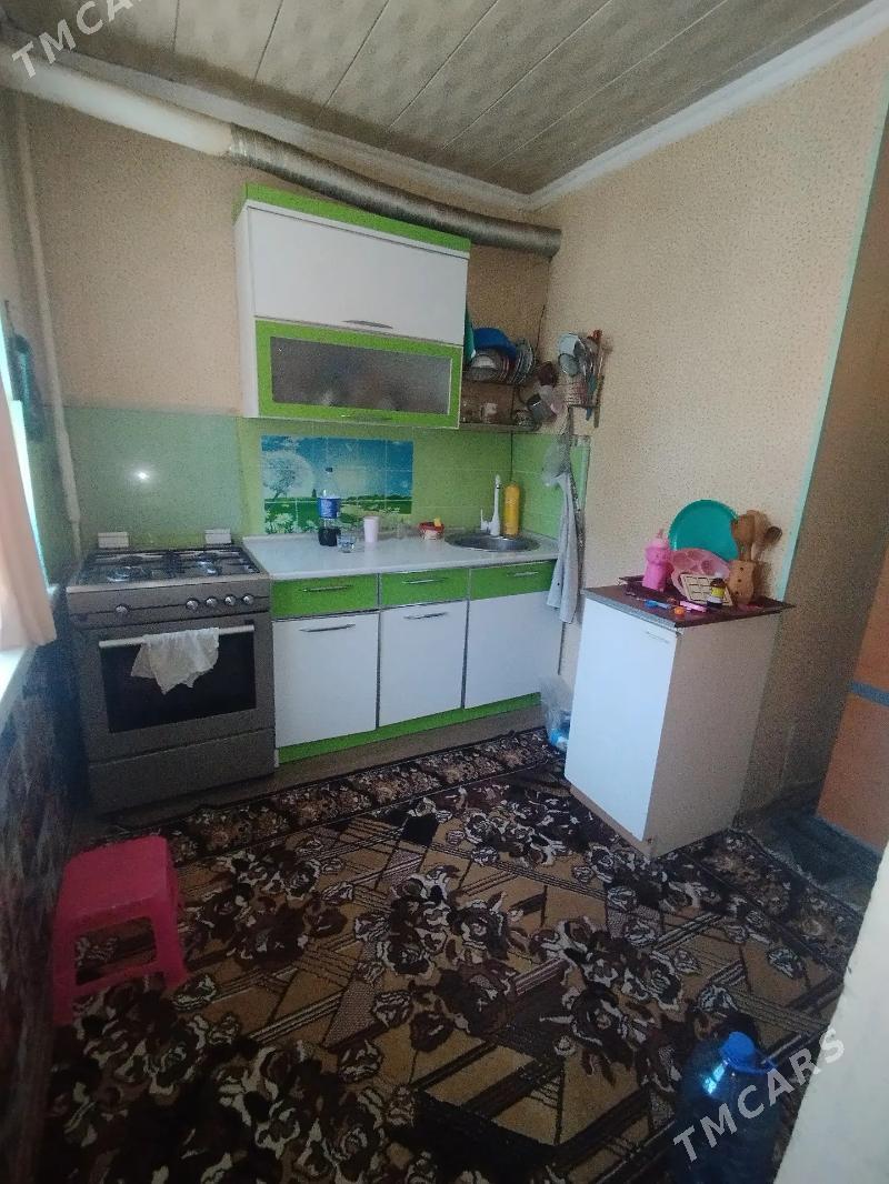 Satlyk jay - Mary - img 7