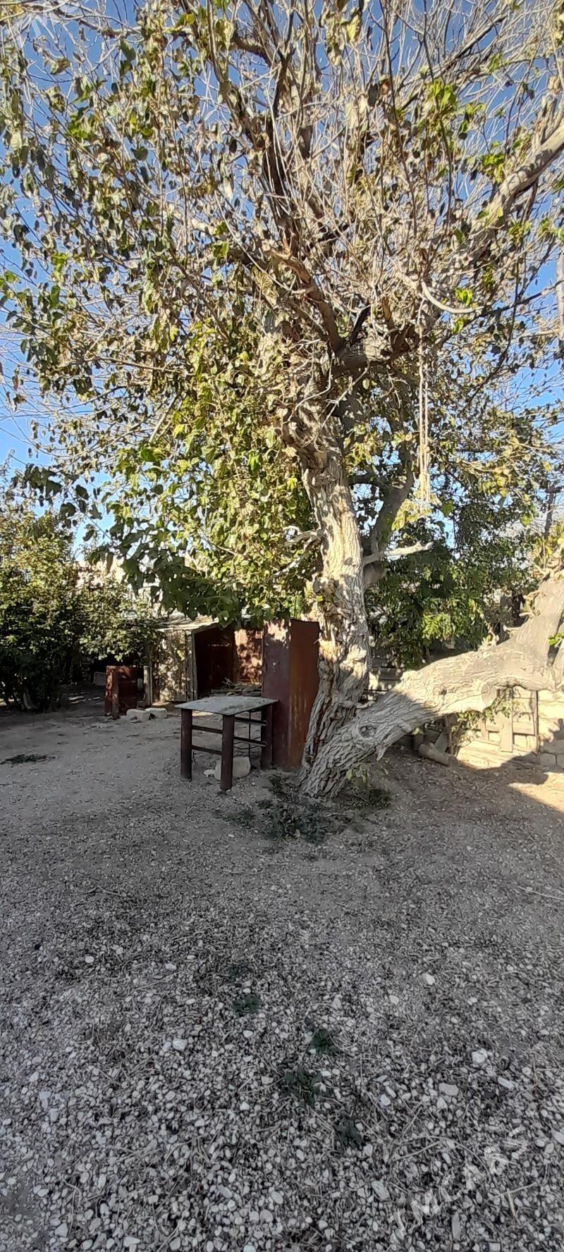 Дом на продажу. Satlyk jay. - Балканабат - img 1