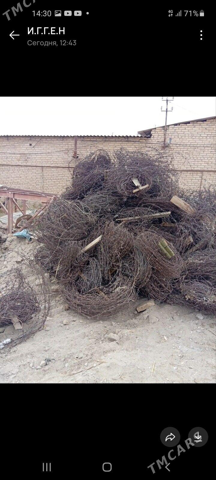 тикенли сим калючий провл - Türkmenabat - img 1