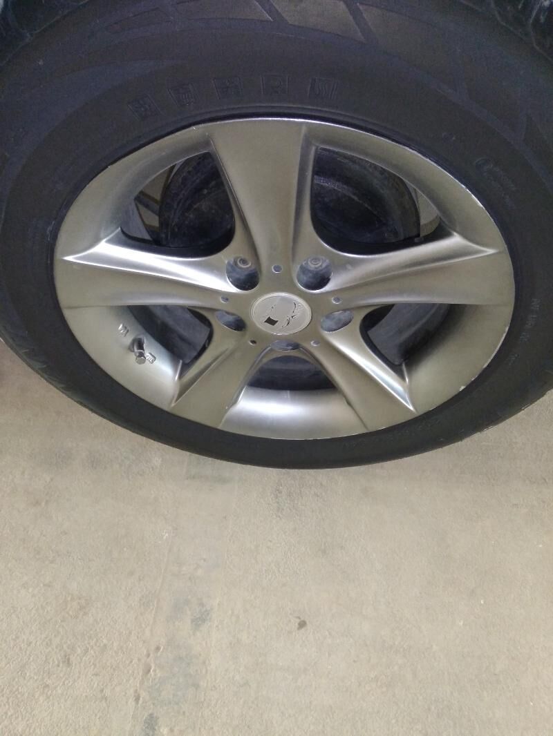 16-lyk MARY Diska 300 TMT - Sakarçäge - img 2