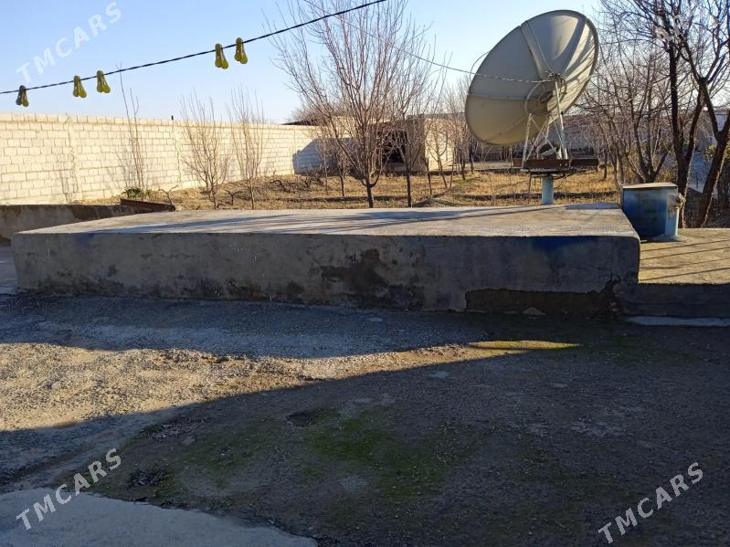 Satlyk aŷ. - Кака - img 3