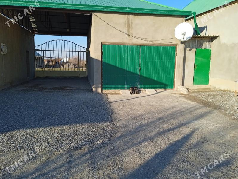 Satlyk aŷ. - Кака - img 1