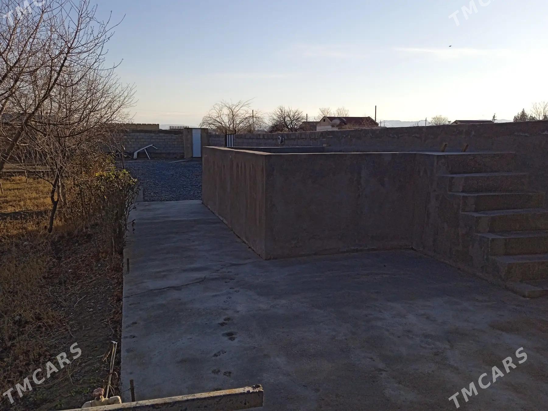 Satlyk aŷ. - Кака - img 4