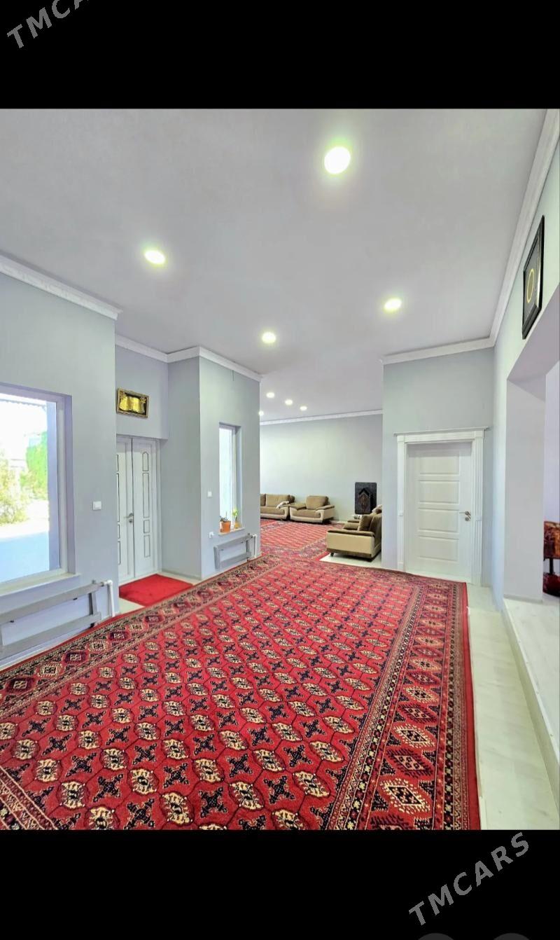 Plan jay - Änew - img 3