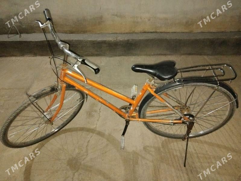 Tigir - Tejen - img 2