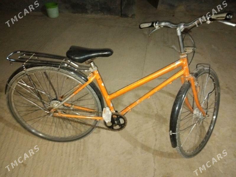 Tigir - Tejen - img 1