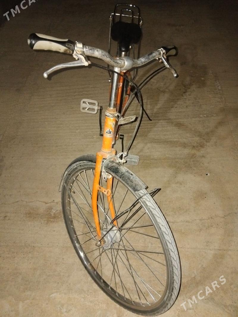 Tigir - Tejen - img 3