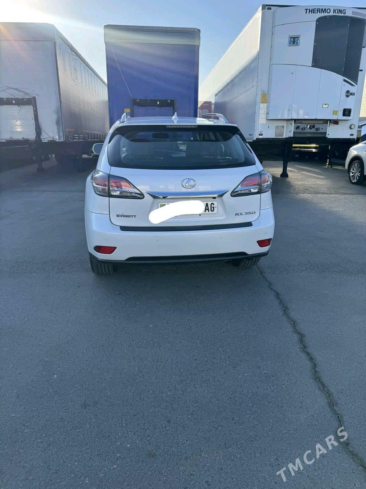 Lexus RX 350 2015 - 385 000 TMT - Ашхабад - img 2