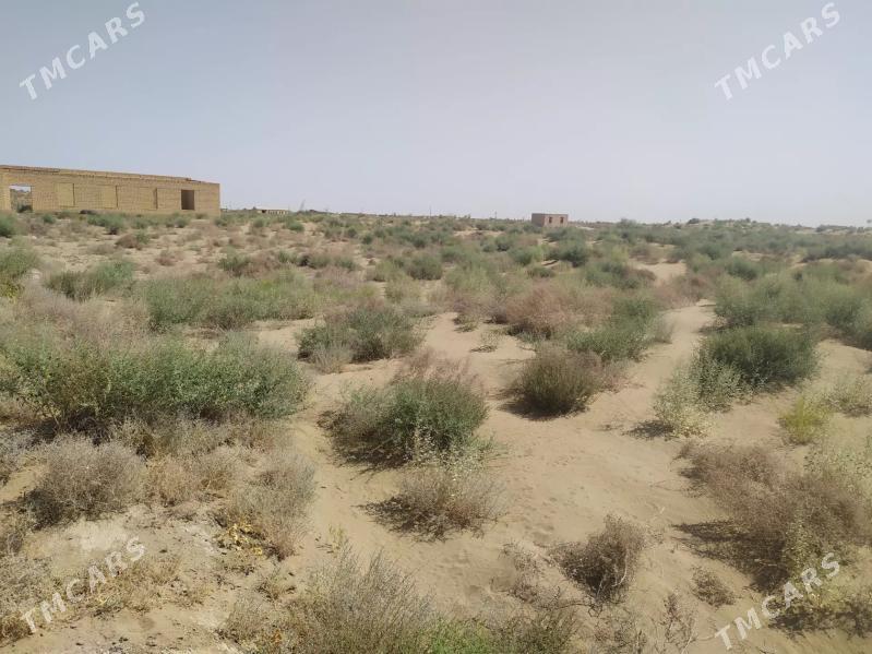 saýat etr çekić db çol melek - Саят - img 7