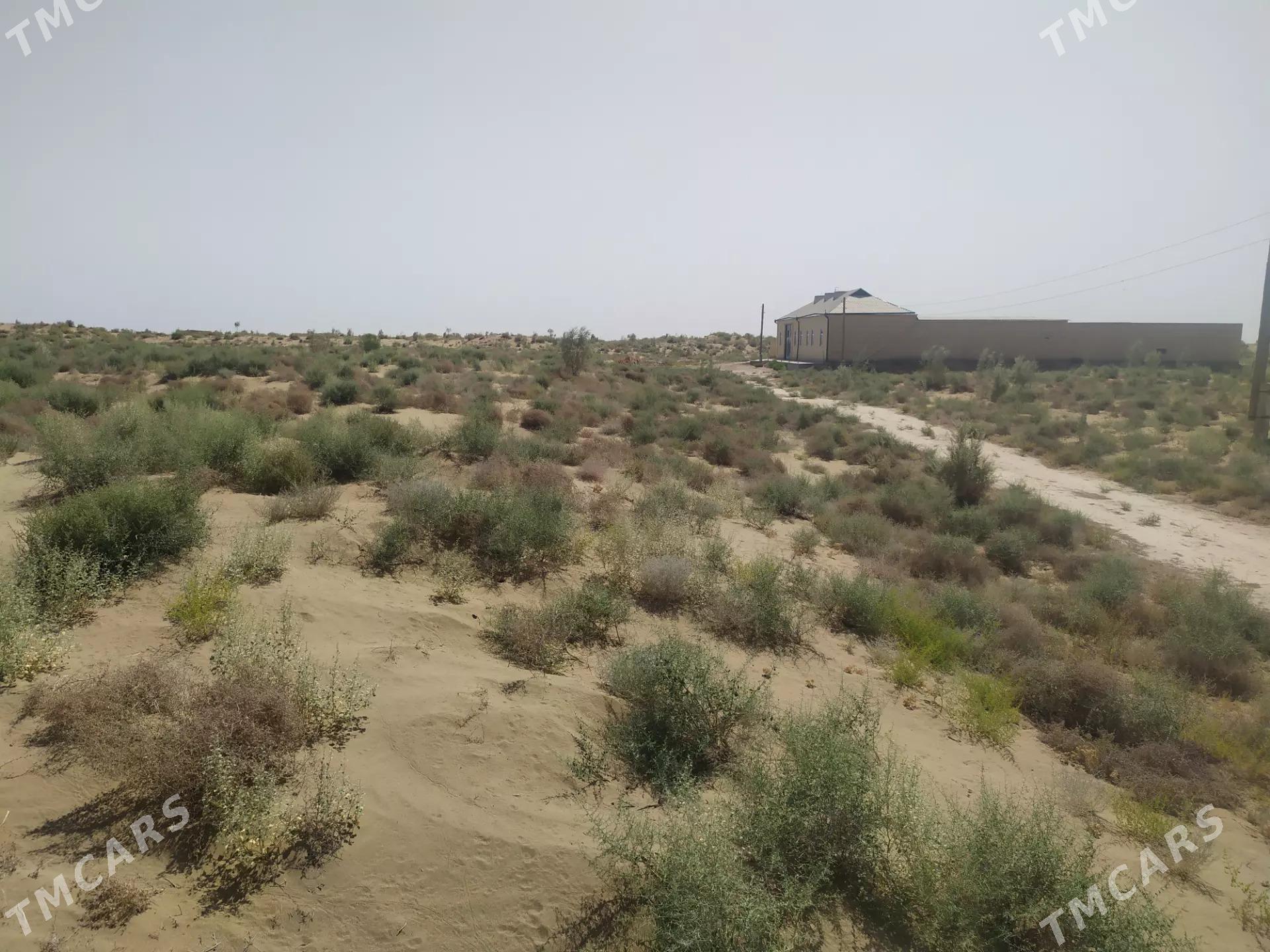 saýat etr çekić db çol melek - Саят - img 4