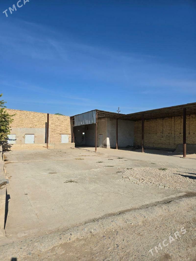 ferma maldarcylyk ucin - Türkmenabat - img 9