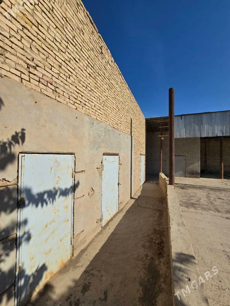 ferma maldarcylyk ucin - Türkmenabat - img 5