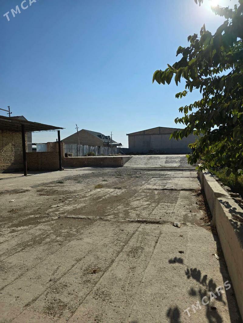 ferma maldarcylyk ucin - Türkmenabat - img 2