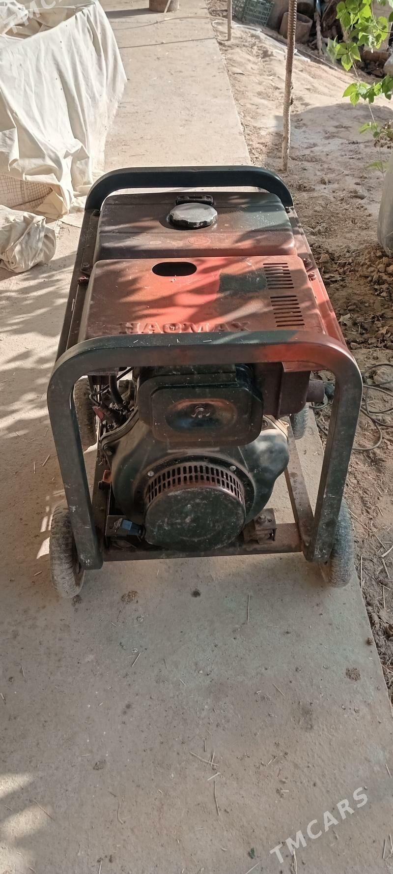 Diwižok - Murgap - img 3