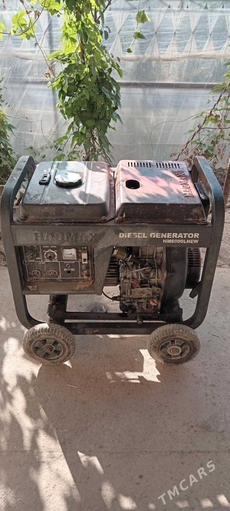 Diwižok - Murgap - img 1