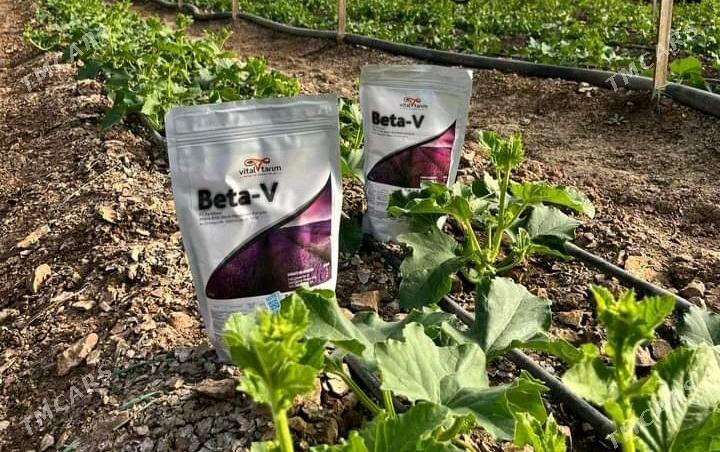 Beta-V mikroelement - Яшлык - img 3