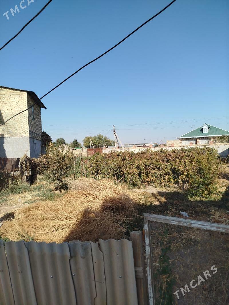 Дача 5 соток - Türkmenabat - img 1