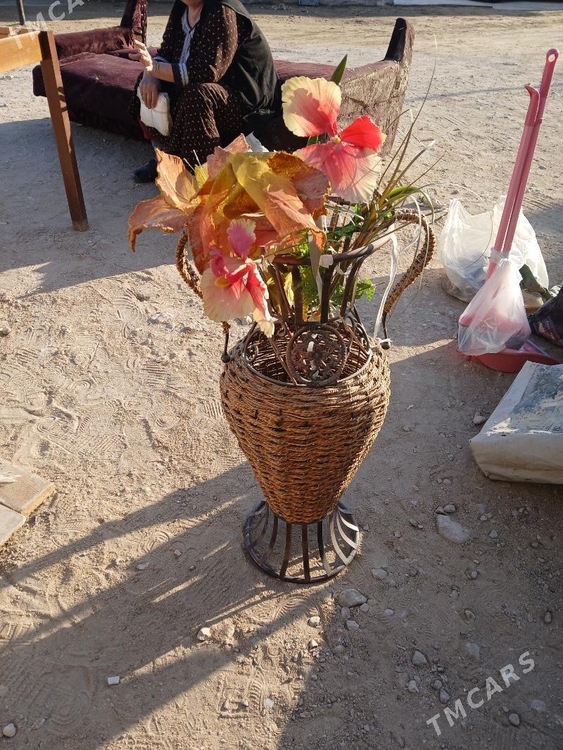 kuyze gulli - Balkanabat - img 2