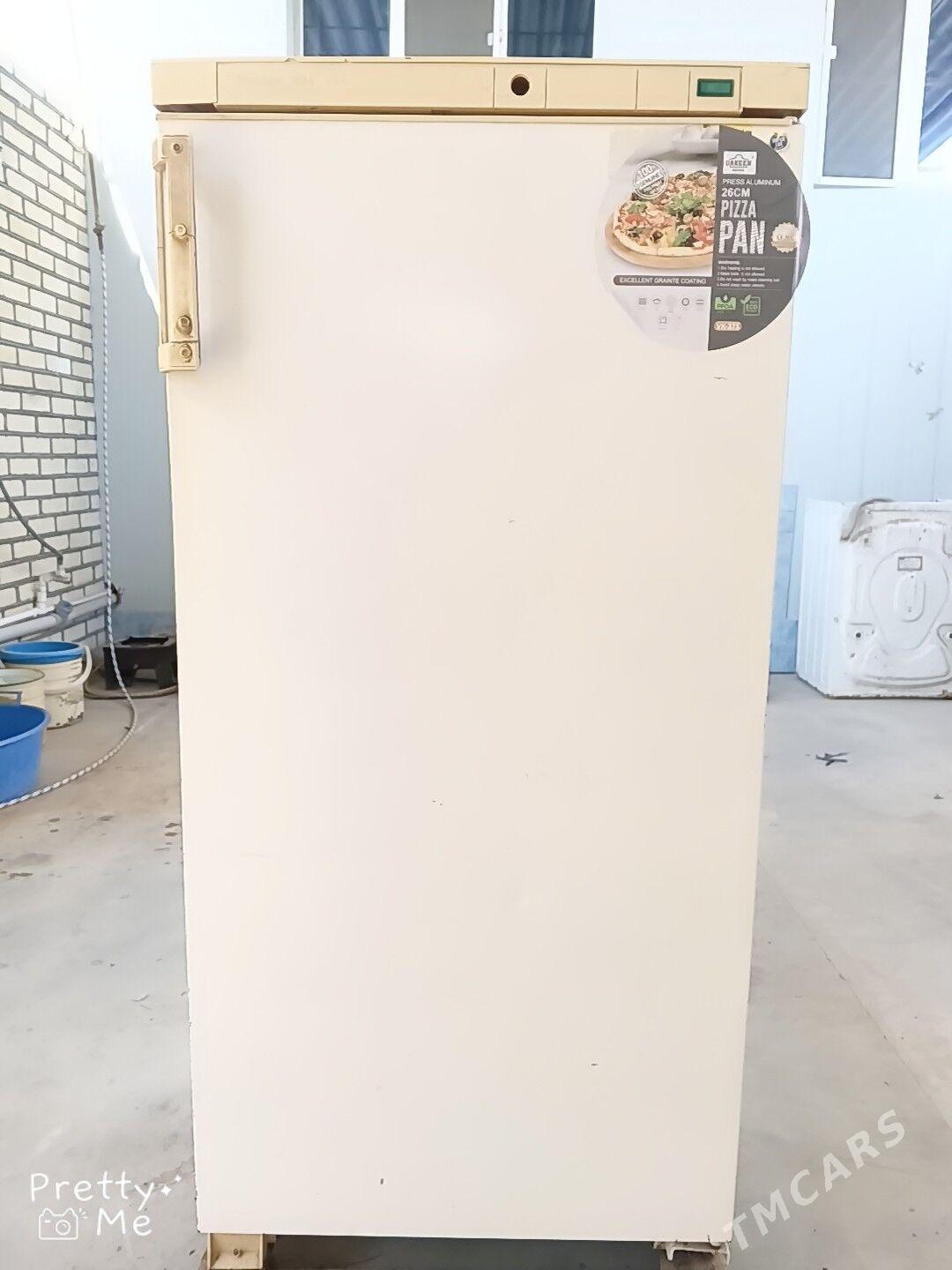 sinalge 224 - Mary - img 2