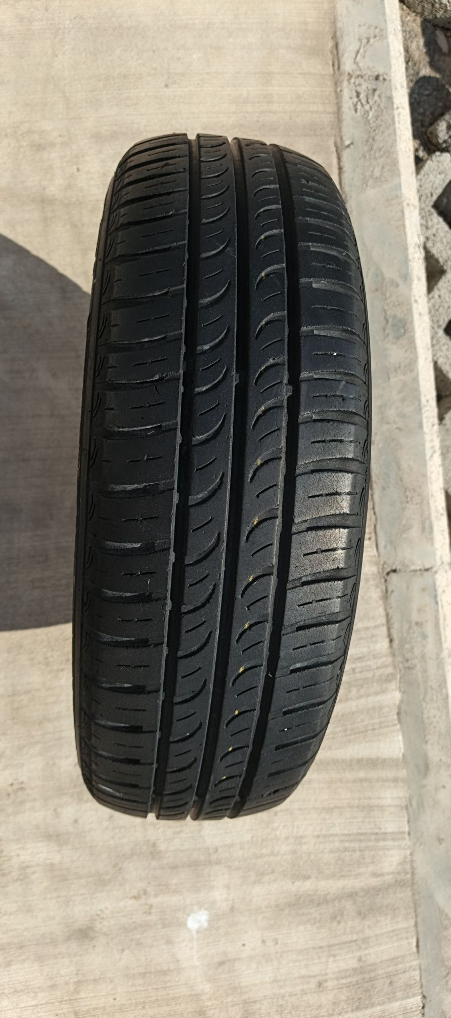 Teker 150 TMT - Büzmeýin - img 6