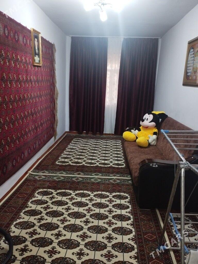 Jay satlyk - Сакарчага - img 2