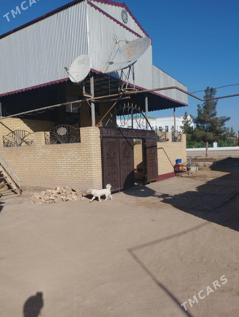 Jay satlyk - Сакарчага - img 8