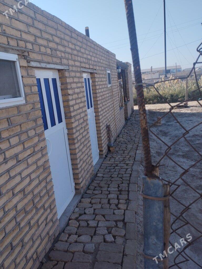 Jay satlyk - Сакарчага - img 7