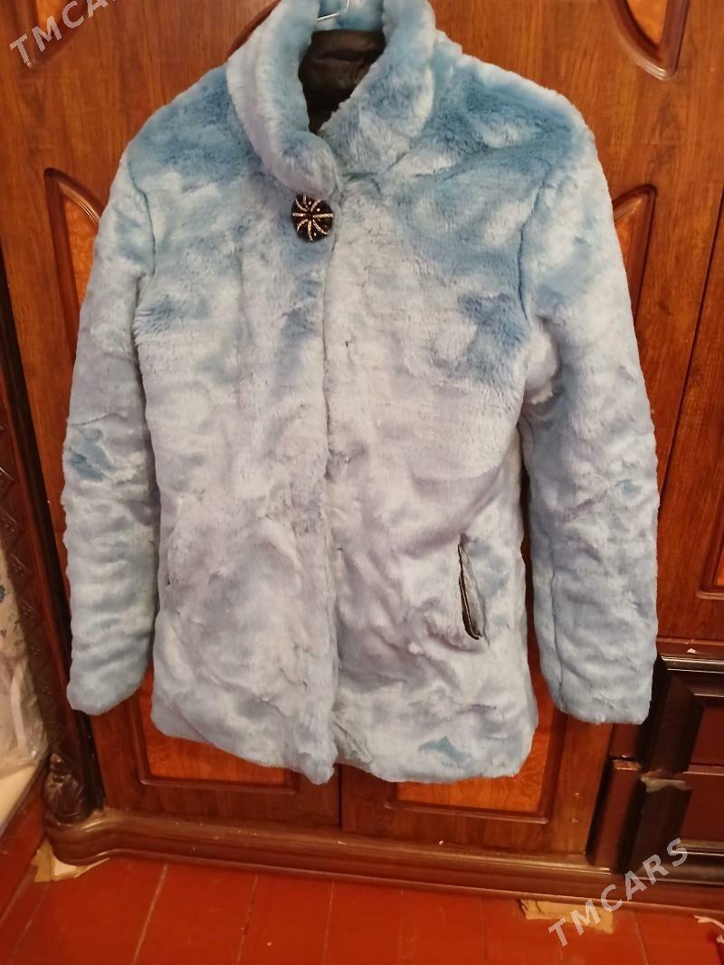 suba - Daşoguz - img 3