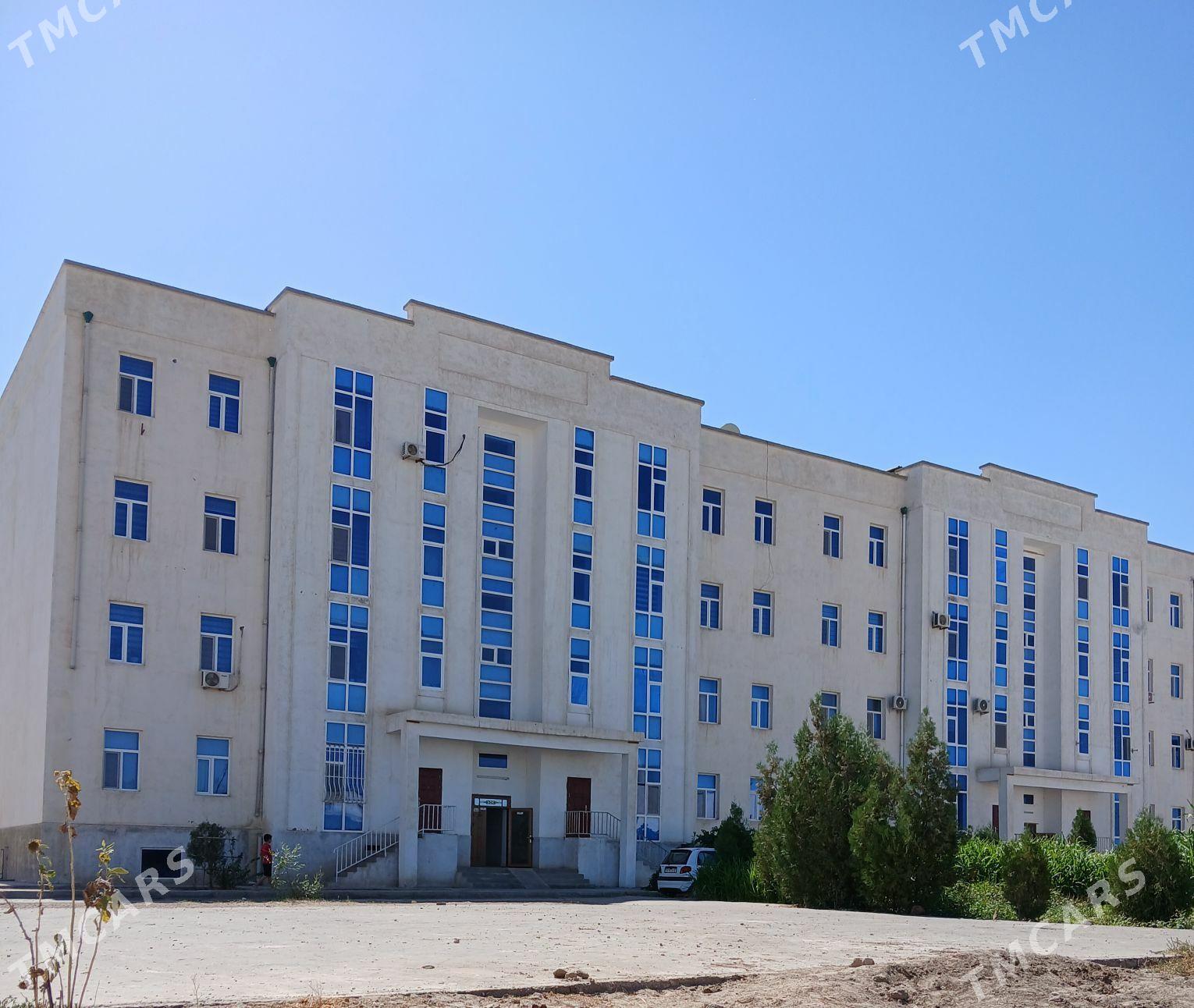 satlyk jay - Daşoguz - img 1