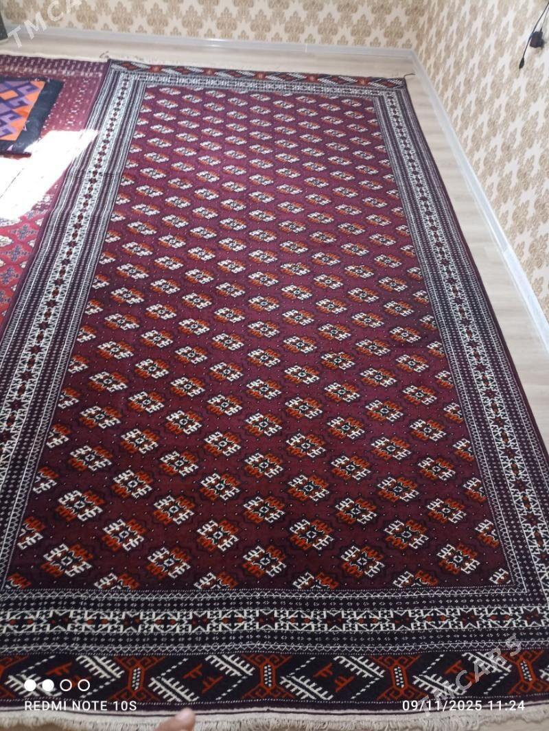 Gunça göl haly - Gumdag - img 3