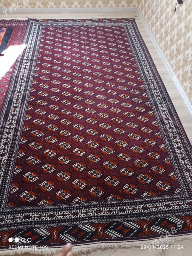 Gunça göl haly - Gumdag - img 2