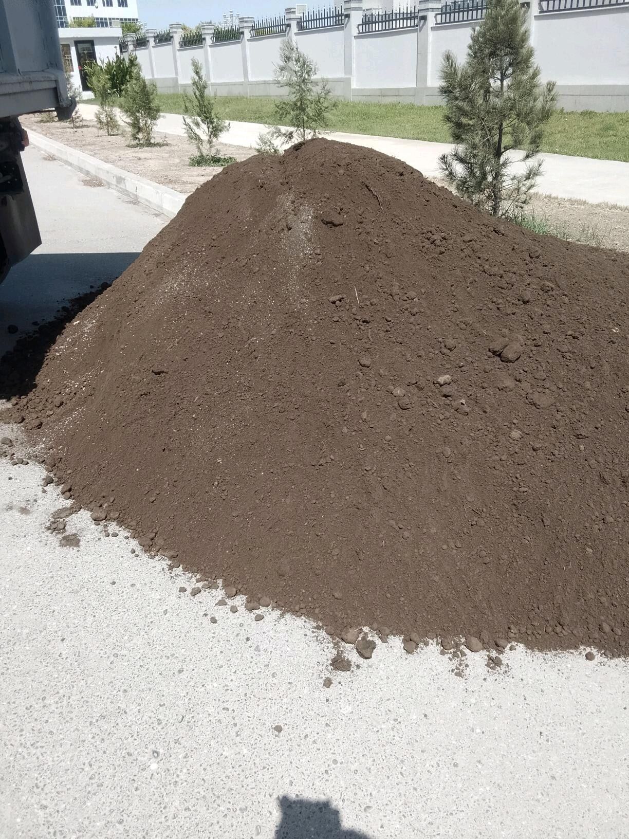 MITI SEMENT DERS PULPA CAGE GM - Ашхабад - img 7