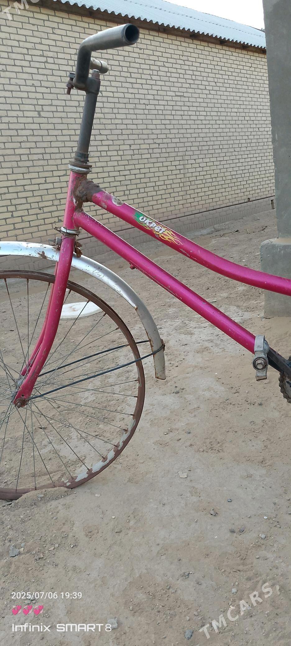 welseped - Türkmengala - img 1