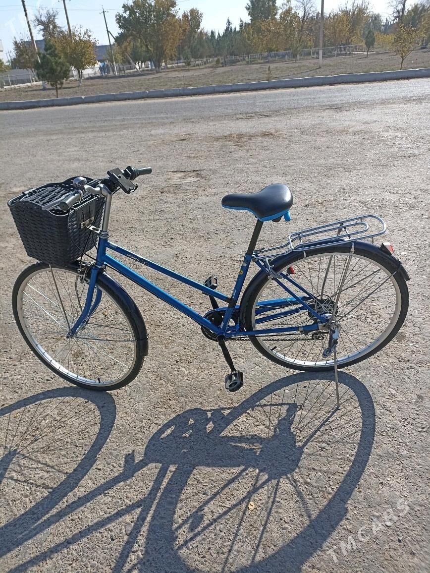 27lik welik obmen 26 bilen - Mary - img 3