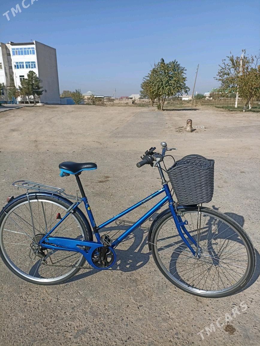 27lik welik obmen 26 bilen - Mary - img 4