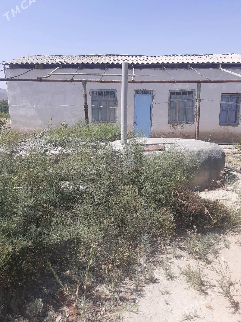 yer - Gyzylarbat - img 2