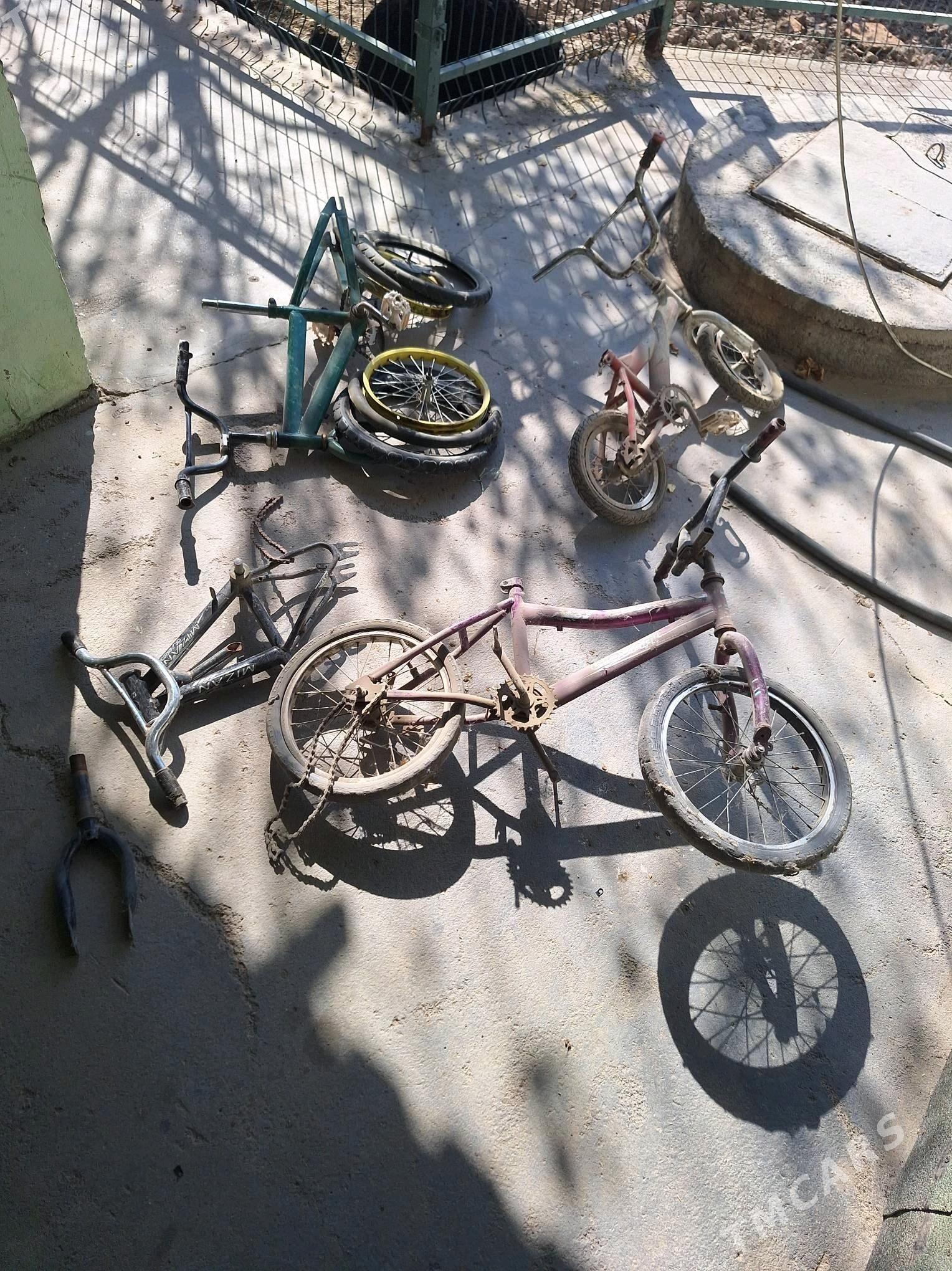 Tigir welsepid - Aşgabat - img 1