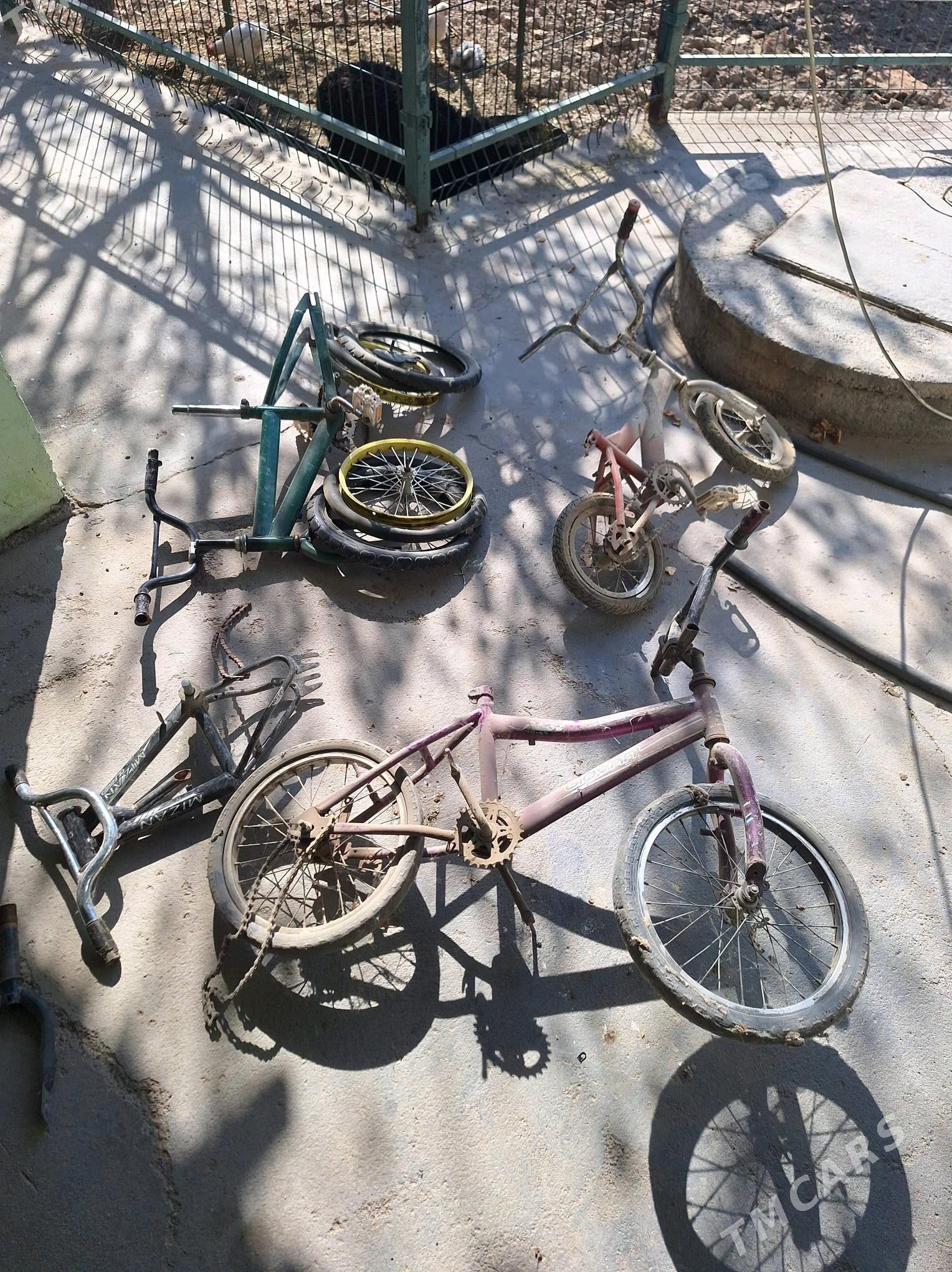 Tigir welsepid - Aşgabat - img 2