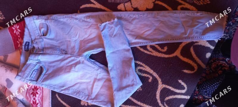 Jynsy calur - Daşoguz - img 4