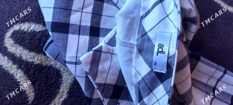 Jynsy calur - Daşoguz - img 7