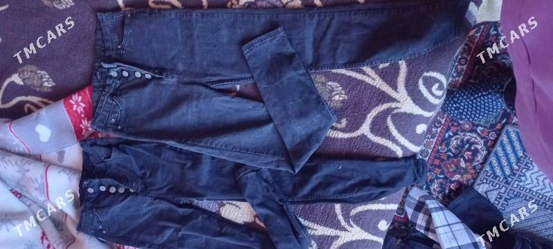 Jynsy calur - Daşoguz - img 5